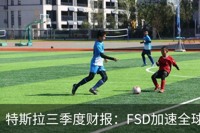 特斯拉三季度财报：FSD加速全球落地，中国市场仍待突破